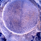 SIF_1769_0823982748_320EBY_N0850000SRLC01025_0000LMJ