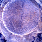 SIF_1769_0823982751_265EBY_N0850000SRLC01025_0000LMJ
