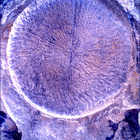 SIF_1769_0823982752_738EBY_N0850000SRLC01025_0000LMJ