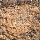 SIF_1780_0824967953_558EBY_N0860160SRLC02503_0000LMJ