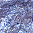 SIF_1780_0824986139_167EBY_N0860160SRLC08062_0000LMJ