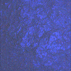SIF_1780_0824986243_062EBY_N0860160SRLC08062_0000LMJ