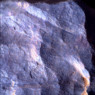 SIF_1783_0825227298_648EBY_N0860356SRLC02521_0000LMJ
