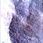 SIF_1783_0825227483_980EBY_N0860356SRLC00663_0000LMJ