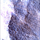 SIF_1783_0825227485_664EBY_N0860356SRLC00663_0000LMJ