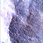 SIF_1783_0825227489_023EBY_N0860356SRLC00663_0000LMJ