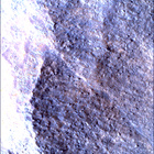 SIF_1783_0825227490_703EBY_N0860356SRLC00663_0000LMJ