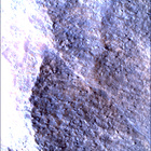 SIF_1783_0825227492_382EBY_N0860356SRLC00663_0000LMJ