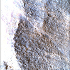 SIF_1783_0825227650_511EBY_N0860356SRLC00663_0000LMJ