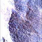 SIF_1783_0825227666_042EBY_N0860356SRLC00663_0000LMJ
