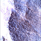 SIF_1783_0825227667_722EBY_N0860356SRLC00663_0000LMJ