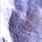 SIF_1783_0825227669_402EBY_N0860356SRLC00663_0000LMJ