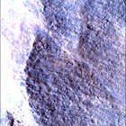 SIF_1783_0825227671_082EBY_N0860356SRLC00663_0000LMJ