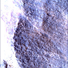 SIF_1783_0825227672_761EBY_N0860356SRLC00663_0000LMJ