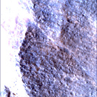 SIF_1783_0825227676_121EBY_N0860356SRLC00663_0000LMJ