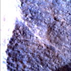 SIF_1783_0825227853_664EBY_N0860356SRLC00381_0000LMJ