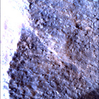 SIF_1783_0825227857_269EBY_N0860356SRLC00381_0000LMJ