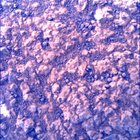 SIF_1785_0825403924_429EBY_N0860510SRLC00736_0000LMJ