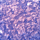 SIF_1785_0825403927_535EBY_N0860510SRLC00736_0000LMJ