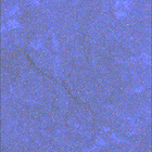SIF_1785_0825427881_082EBY_N0860510SRLC08061_0000LMJ