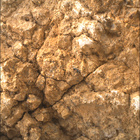 SIF_1787_0825578862_394EBY_N0860510SRLC00642_0000LMJ