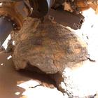 FLF_1794_0826199669_036ECM_N0870000FHAZ00215_04_075J
