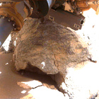 FLF_1794_0826200389_069ECM_N0870000FHAZ00215_04_075J
