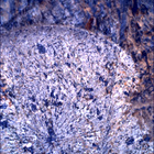 SIF_1798_0826565082_339EBY_N0870000SRLC00642_0000LMJ