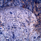 SIF_1798_0826565083_992EBY_N0870000SRLC00642_0000LMJ