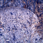 SIF_1798_0826565085_640EBY_N0870000SRLC00642_0000LMJ