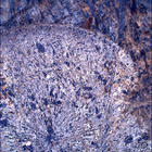 SIF_1798_0826565087_289EBY_N0870000SRLC00642_0000LMJ