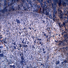 SIF_1798_0826565090_585EBY_N0870000SRLC00642_0000LMJ
