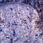 SIF_1798_0826565272_957EBY_N0870000SRLC00642_0000LMJ