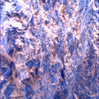 SIF_1800_0826736949_089EBY_N0870000SRLC00378_0000LMJ
