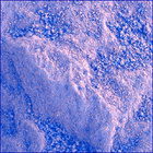 SIF_1806_0827264824_550EBY_N0870120SRLC00748_0000LMJ