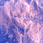 SIF_1806_0827264852_726EBY_N0870120SRLC00748_0000LMJ