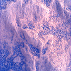 SIF_1806_0827264862_550EBY_N0870120SRLC00748_0000LMJ