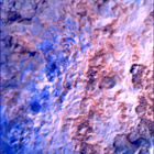 SIF_1819_0828428582_730EBY_N0873896SRLC00366_0000LMJ
