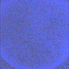 SIF_1821_0828625164_832EBY_N0874084SRLC08061_0000LMJ