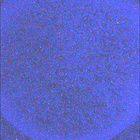 SIF_1821_0828625204_828EBY_N0874084SRLC08061_0000LMJ