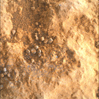 SIF_1824_0828883839_015EBY_N0874084SRLC00660_0000LMJ