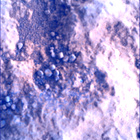 SIF_1824_0828883860_441EBY_N0874084SRLC00660_0000LMJ