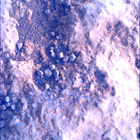SIF_1824_0828883865_210EBY_N0874084SRLC00660_0000LMJ