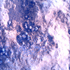 SIF_1824_0828883874_742EBY_N0874084SRLC00660_0000LMJ
