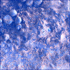 SIF_1824_0828884042_515EBY_N0874084SRLC00660_0000LMJ