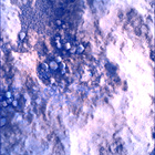 SIF_1824_0828884080_300EBY_N0874084SRLC00660_0000LMJ