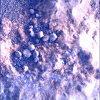 SIF_1824_0828884333_750EBY_N0874084SRLC00378_0000LMJ