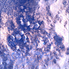 SIF_1824_0828884340_750EBY_N0874084SRLC00378_0000LMJ