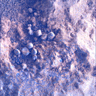 SIF_1824_0828884344_250EBY_N0874084SRLC00378_0000LMJ