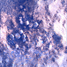 SIF_1824_0828884347_750EBY_N0874084SRLC00378_0000LMJ